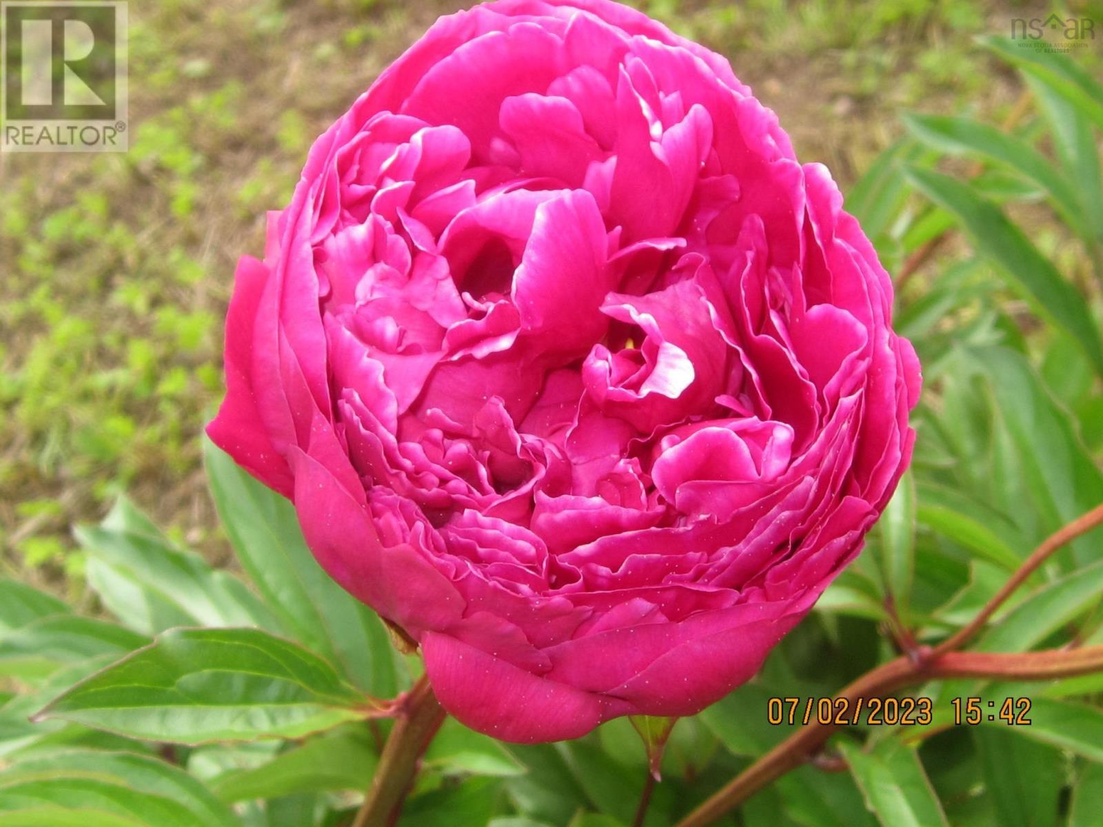 Property 26 of 26 of 9273 highway 16