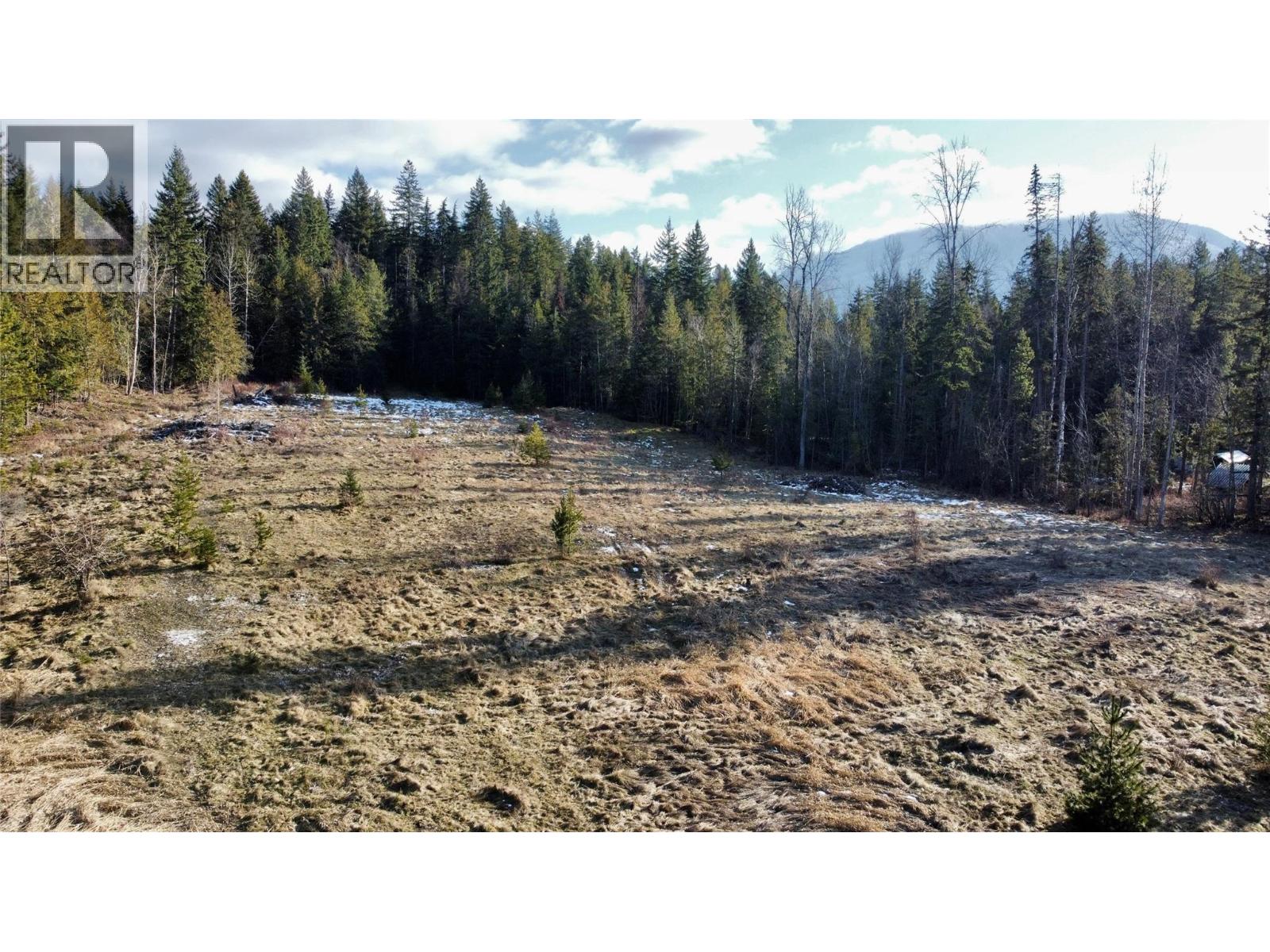 319 NAKUSP EAST ROAD - 26