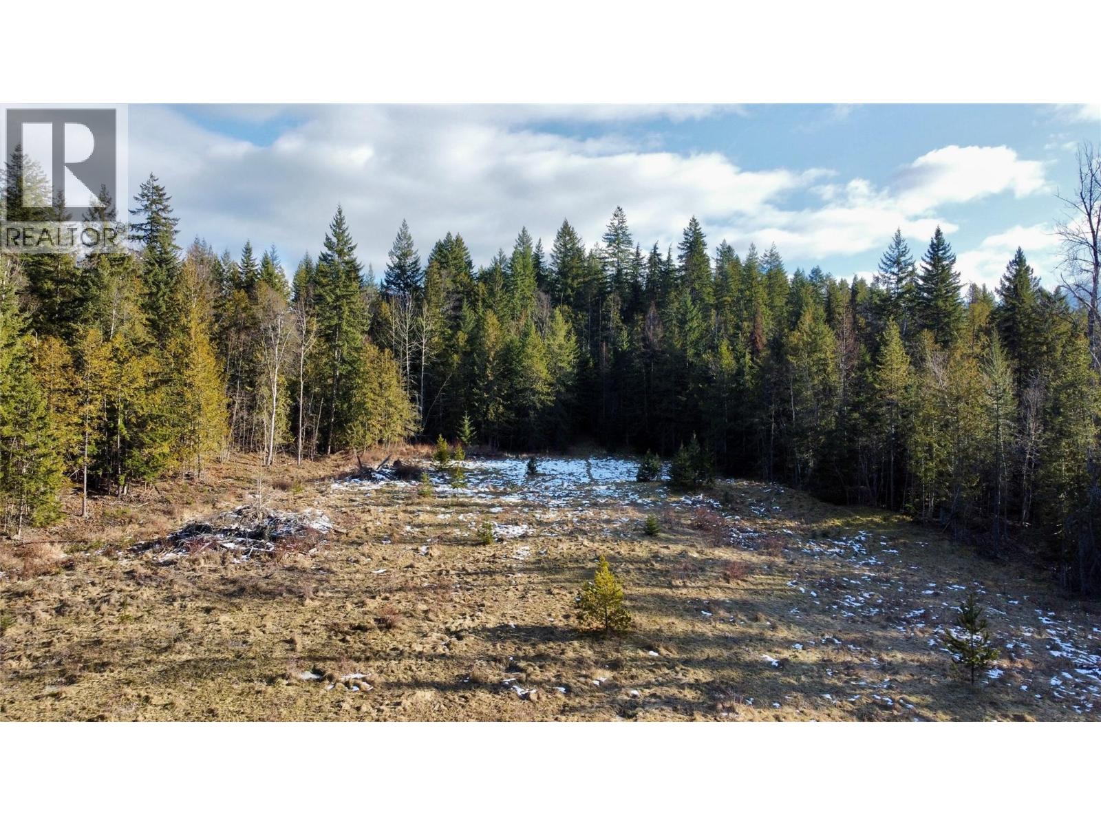 319 NAKUSP EAST ROAD - 21