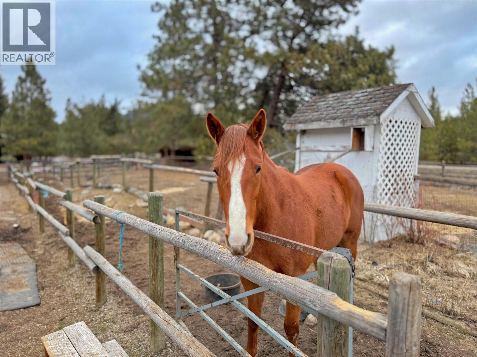 849 OLD PRINCETON-MERRITT HIGHWAY - 6