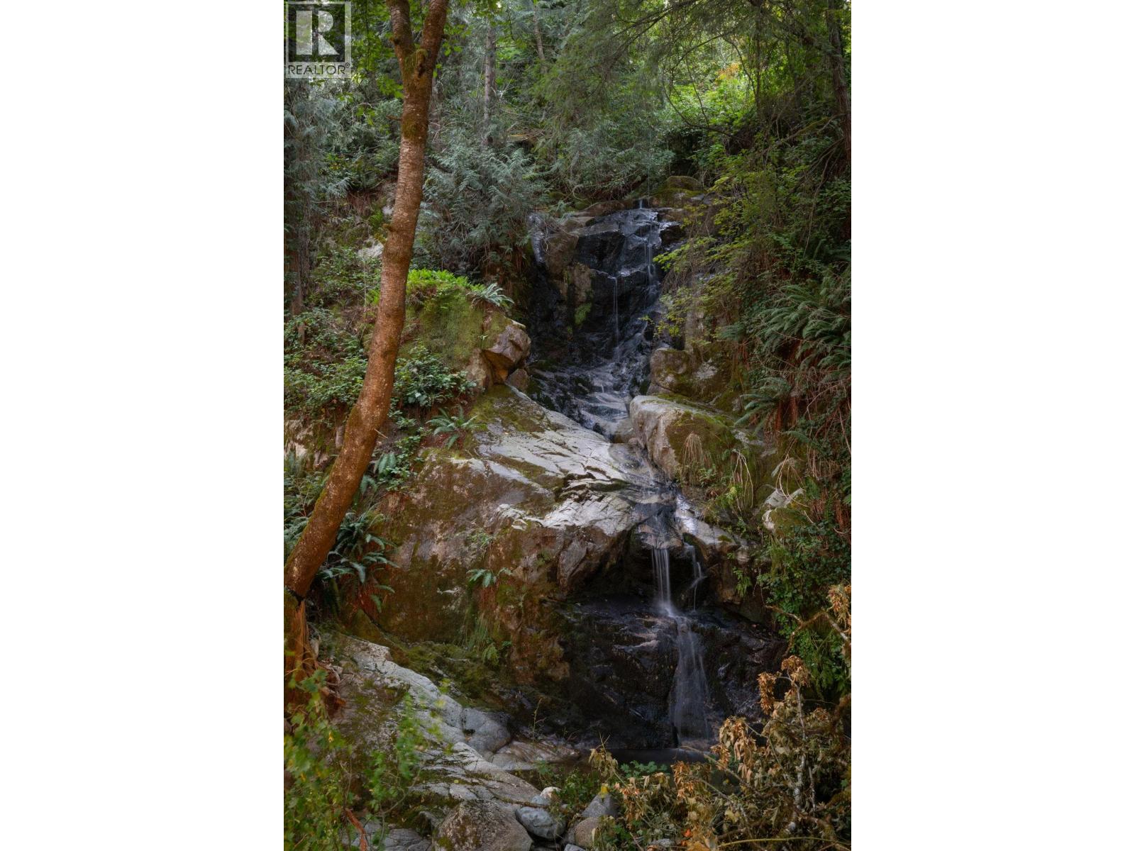 5439 INDIAN RIVER DRIVE, North Vancouver