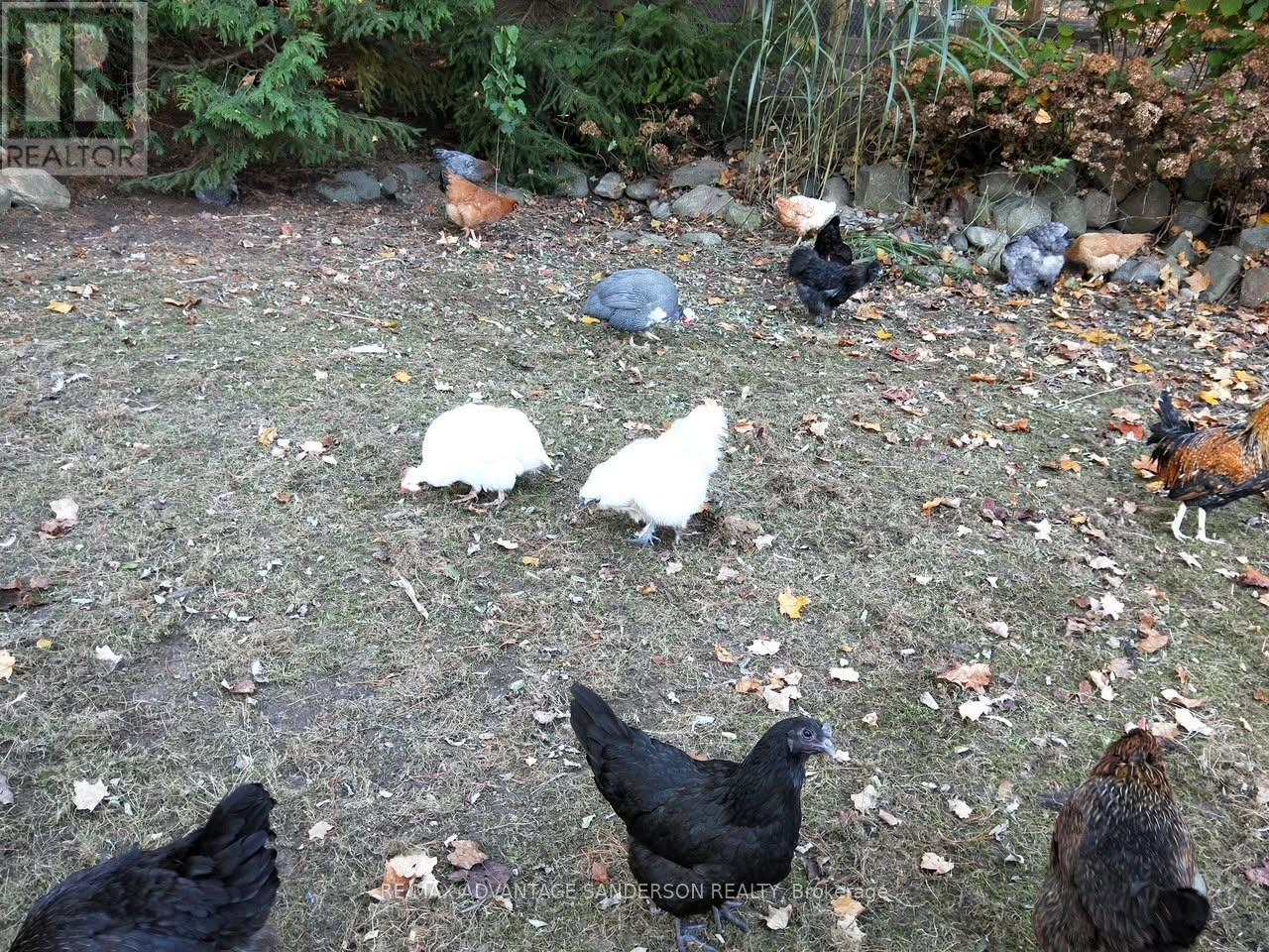 9584 MELROSE DRIVE Property Photo