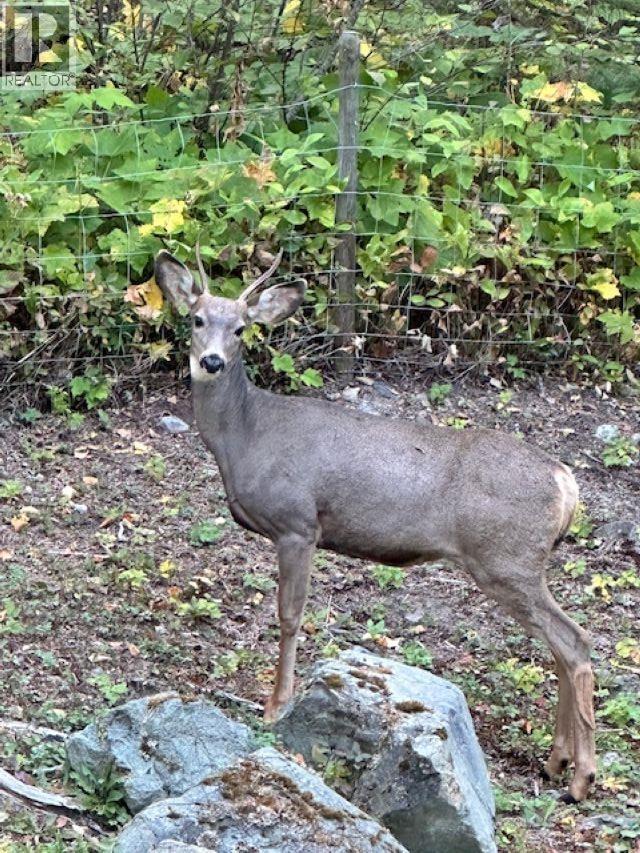 3557 CANDLE DRIVE - 38