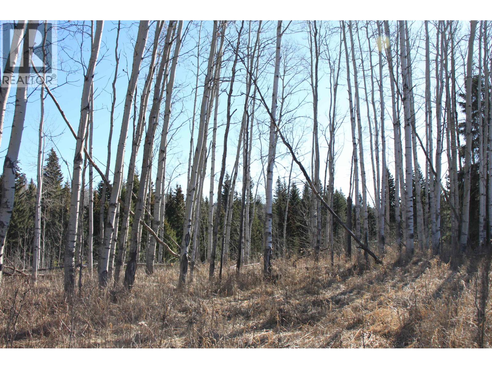 8025 N BONAPARTE ROAD - 32