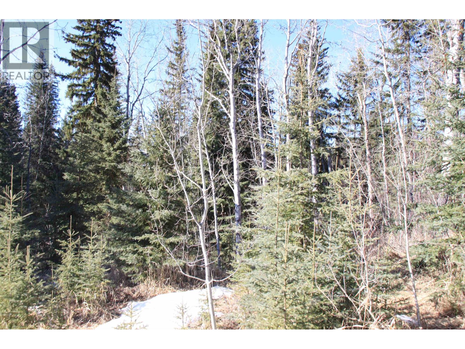 8025 N BONAPARTE ROAD - 36