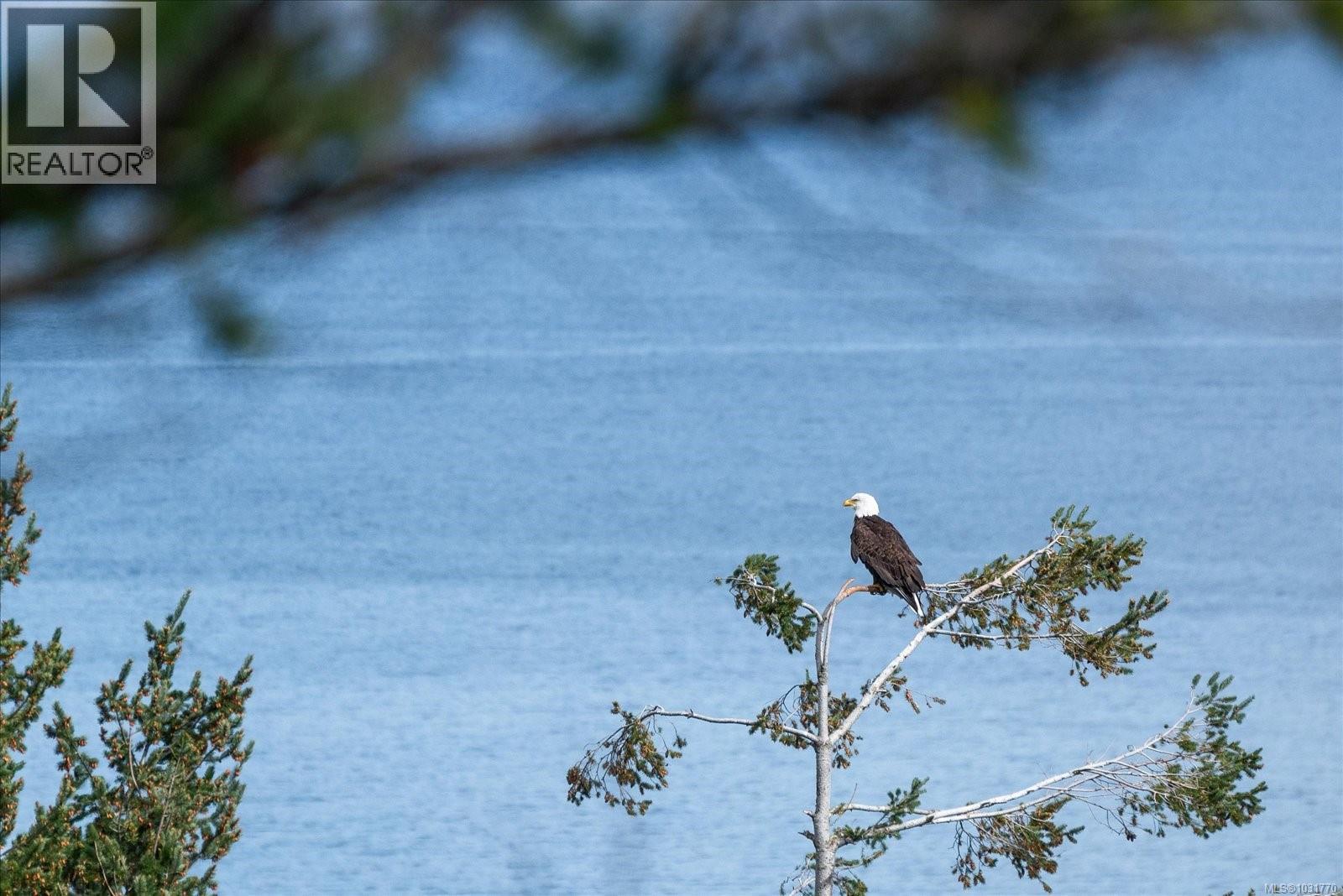 5055 BANNING CRT - 60