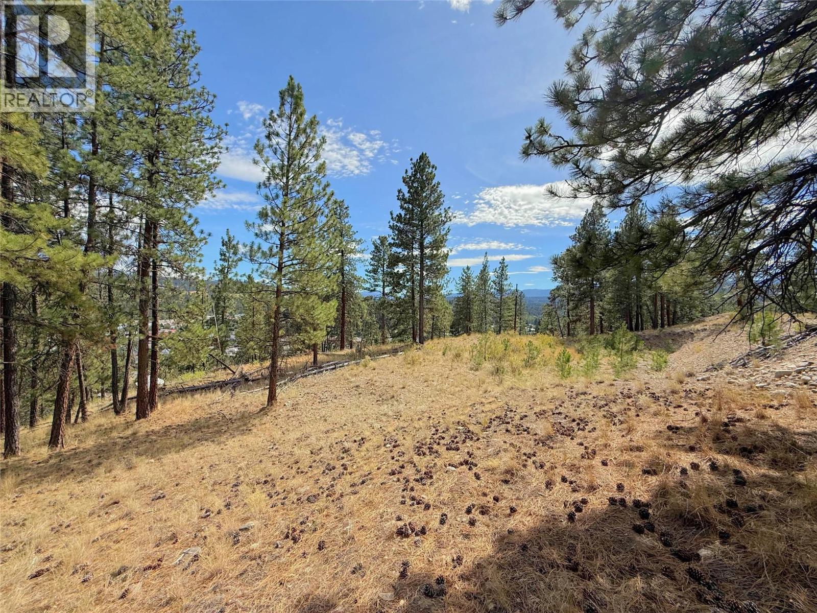 101 JACOBSON ROAD - 10