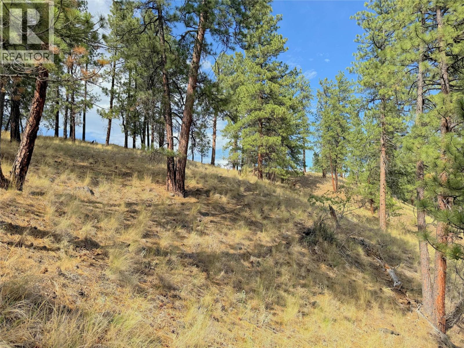 101 JACOBSON ROAD - 27