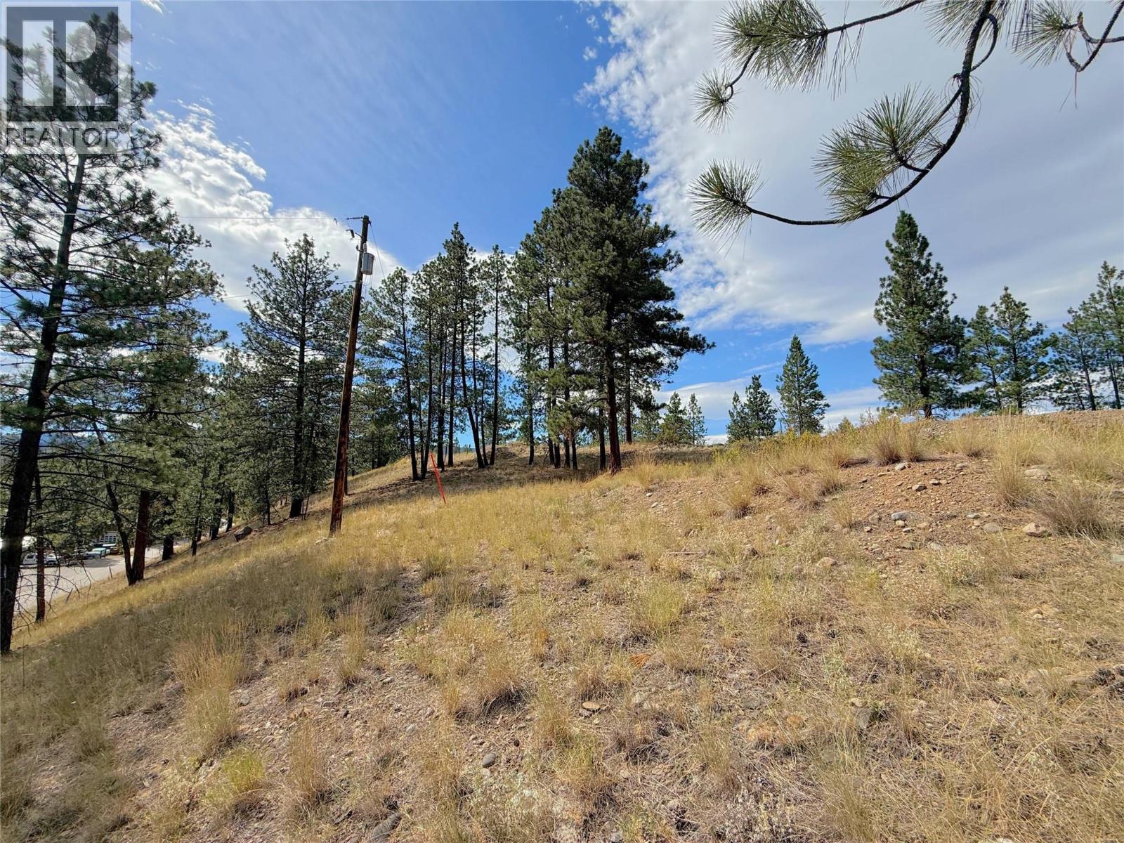 101 JACOBSON ROAD - 28