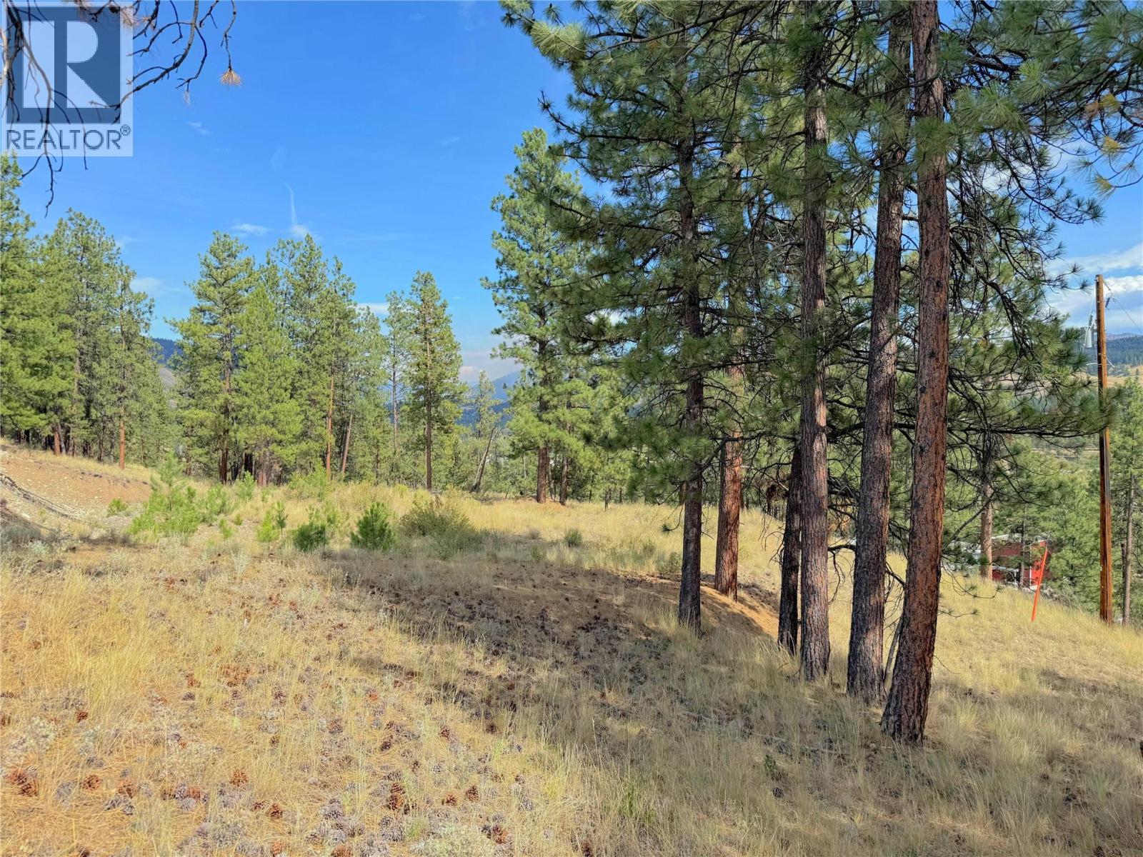 101 JACOBSON ROAD - 31