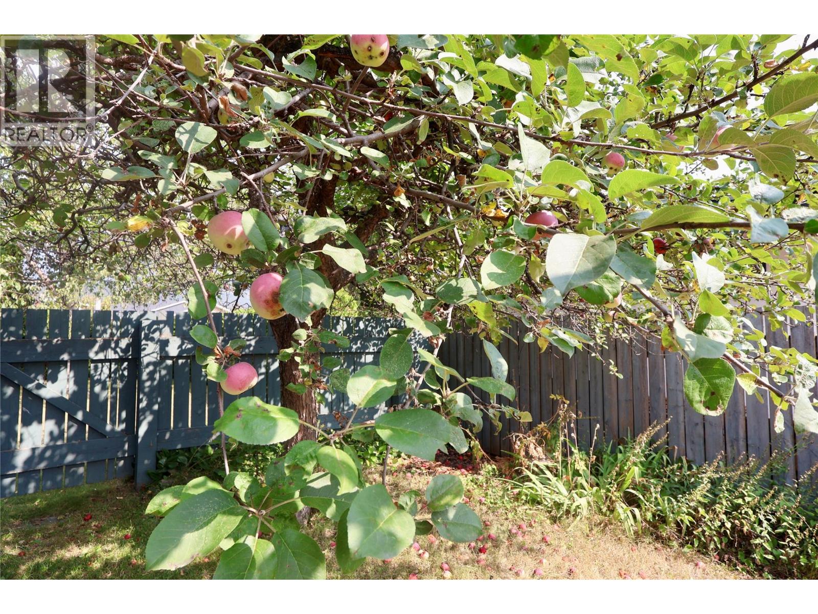 1229 ALEXANDER DRIVE - 21