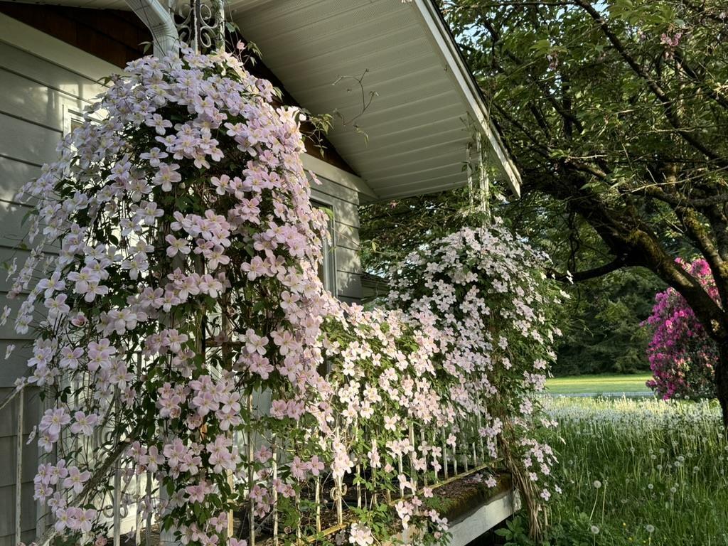 5535 250 STREET, Langley