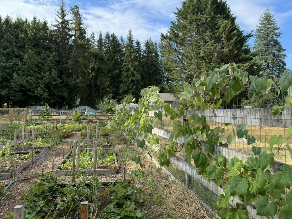 5535 250 STREET, Langley