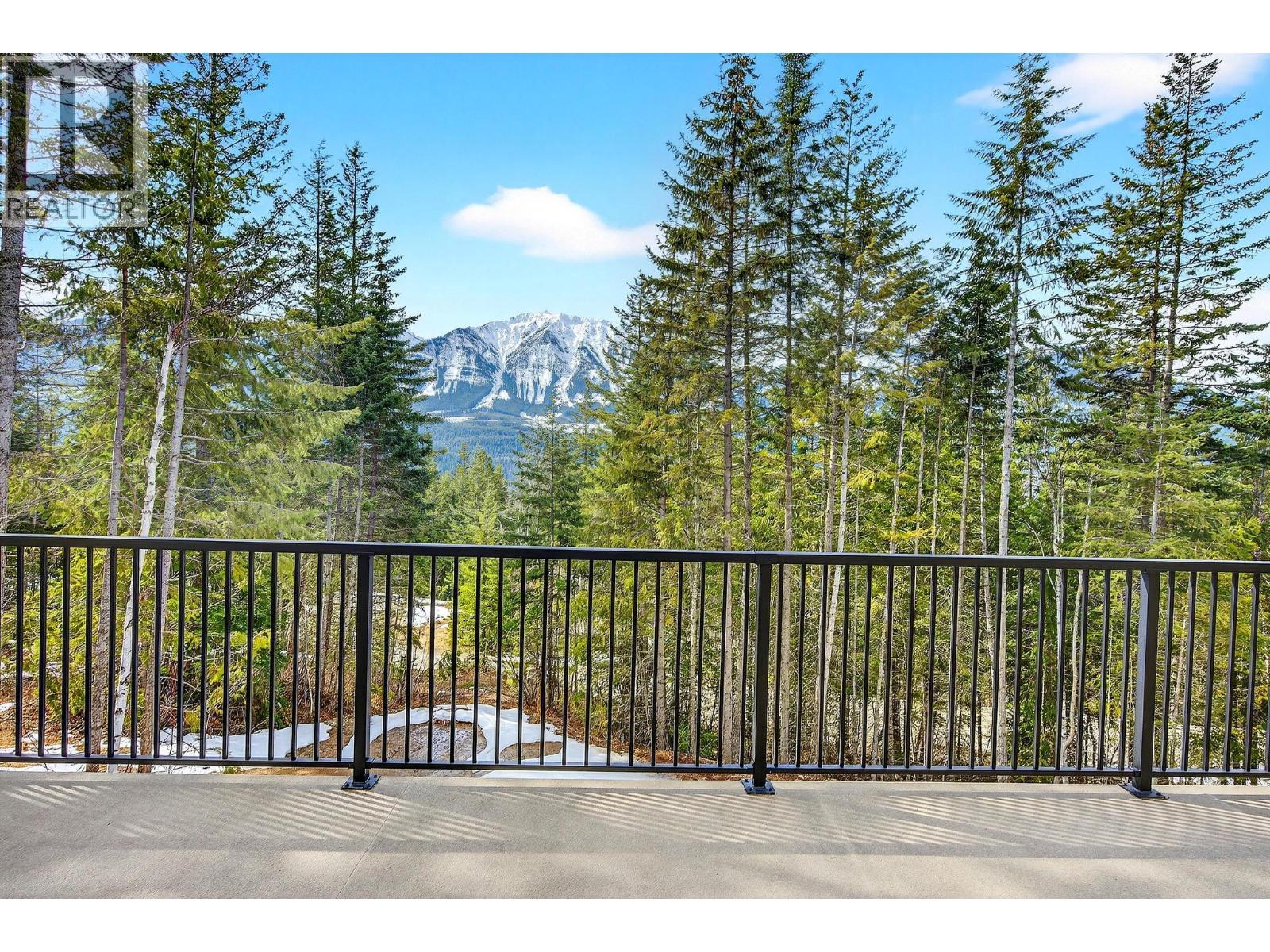 1414 Black Bear Drive - 45