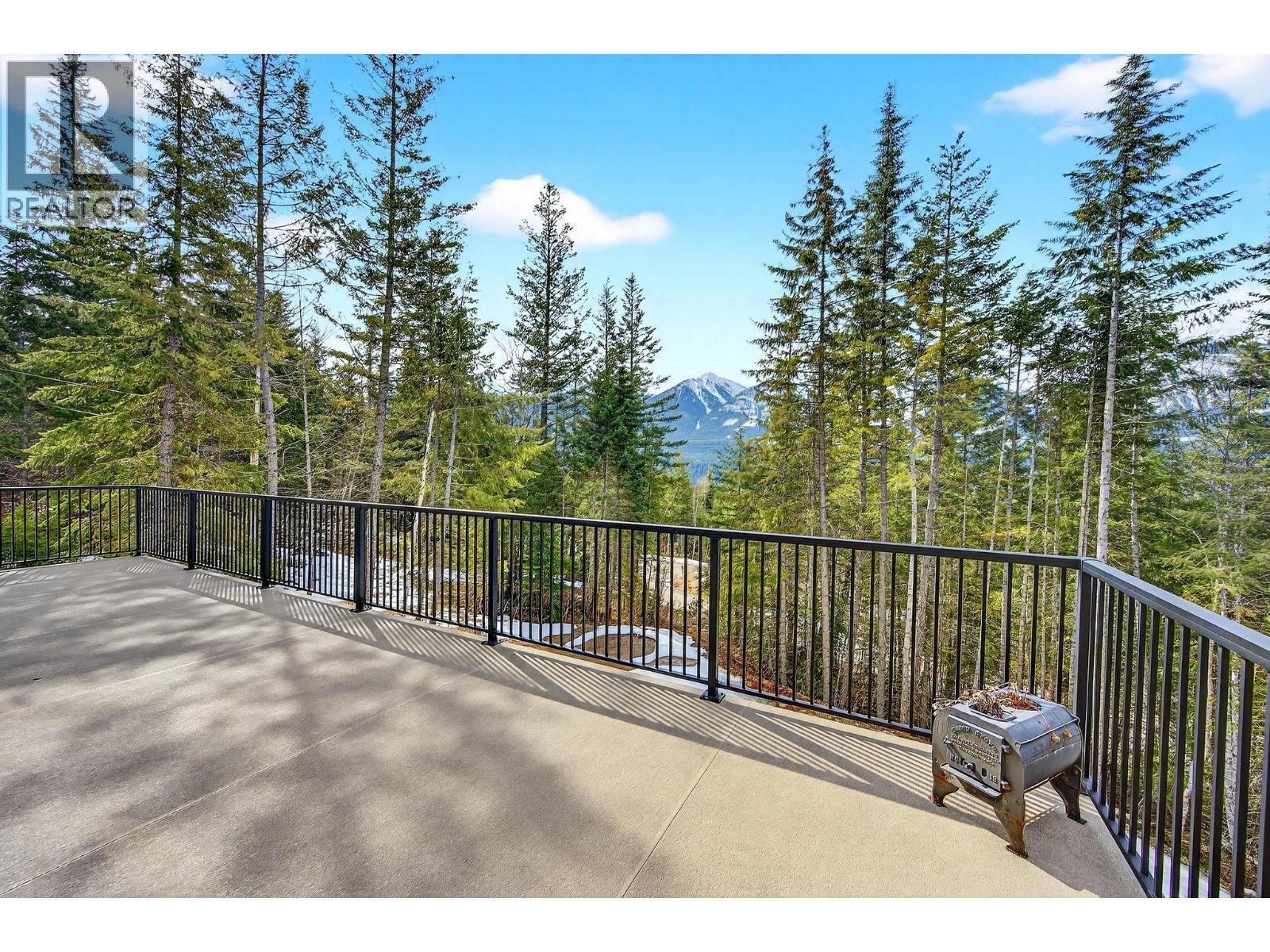 1414 Black Bear Drive - 46