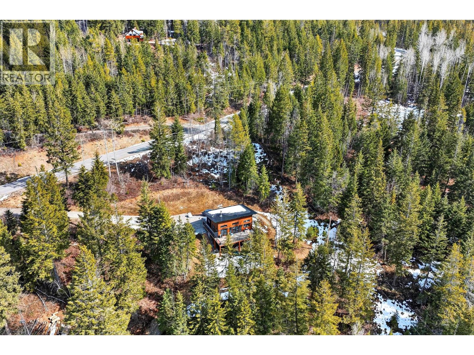 1414 Black Bear Drive - 41