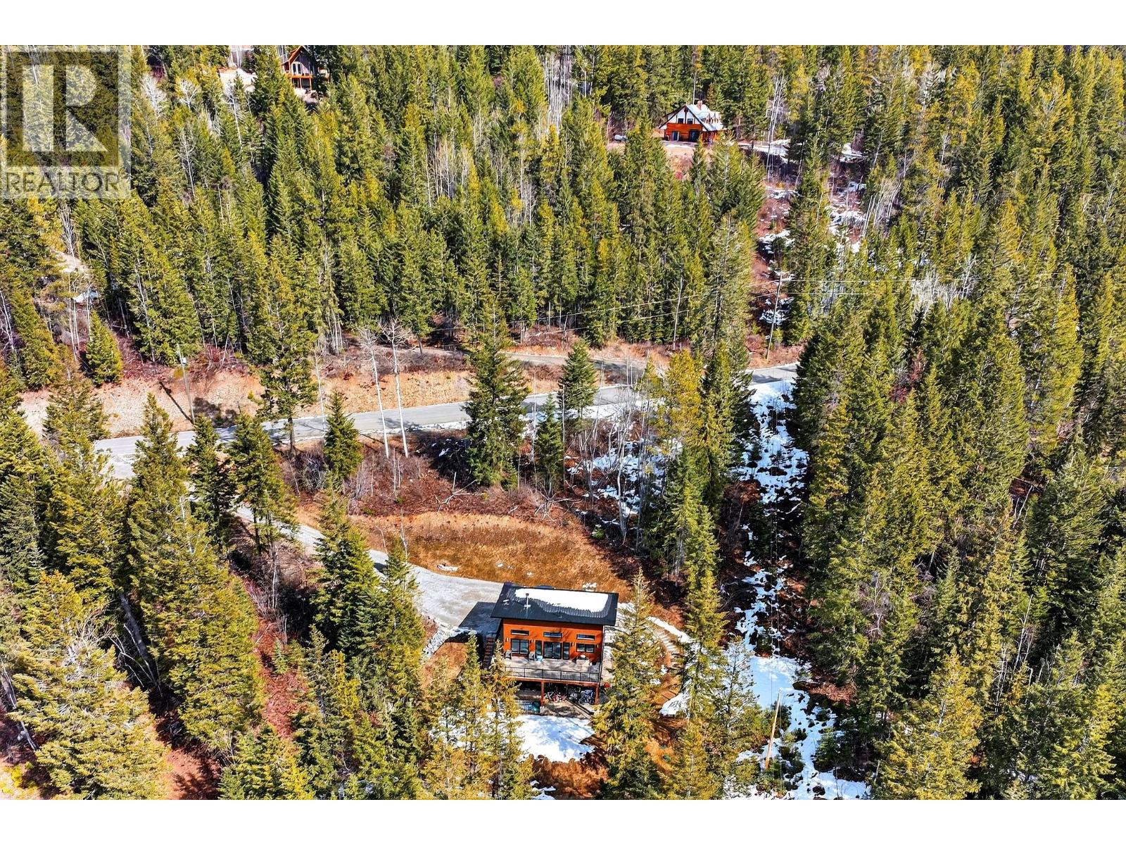 1414 Black Bear Drive - 40