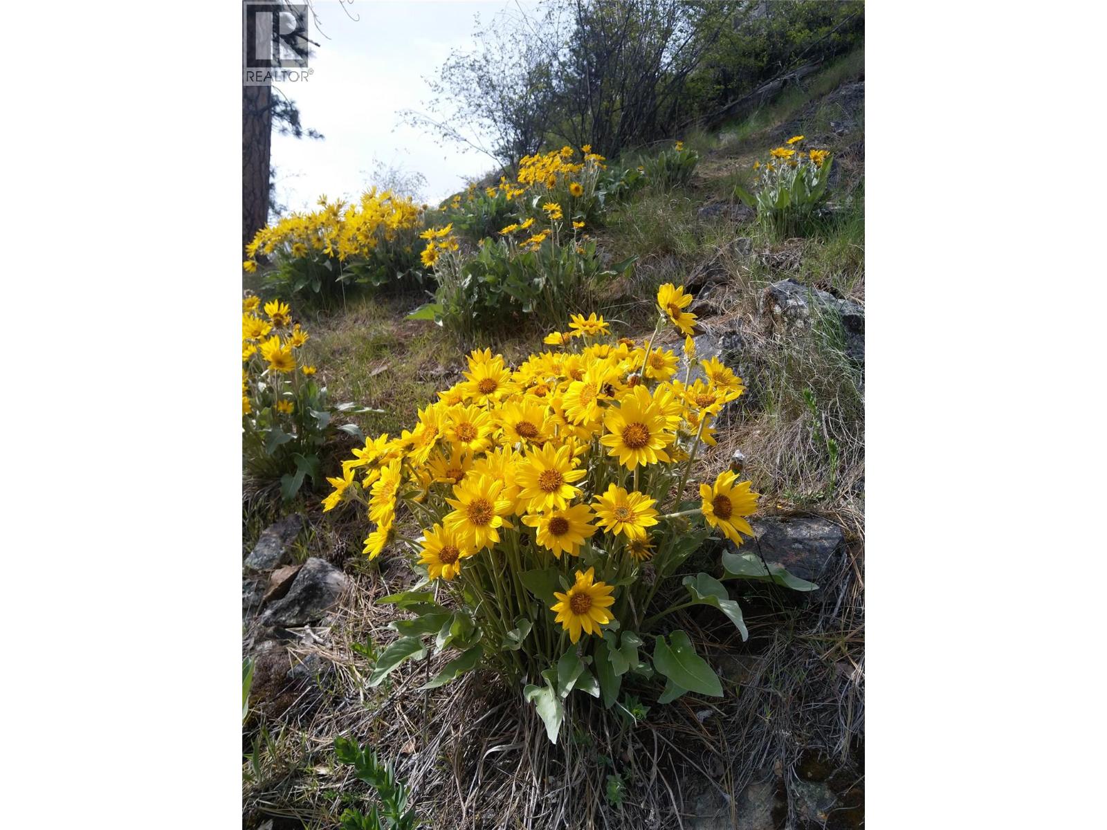 #7 13341 KIDSTON ROAD - 65