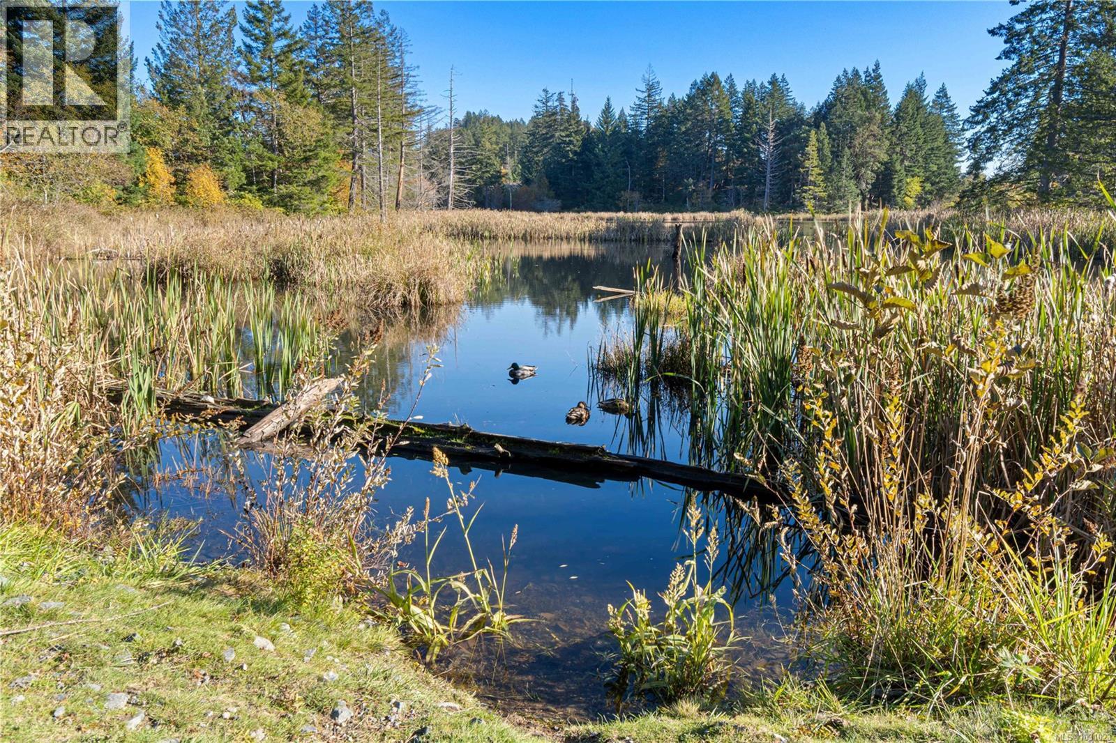 5648 LINLEY VALLEY DR - 35