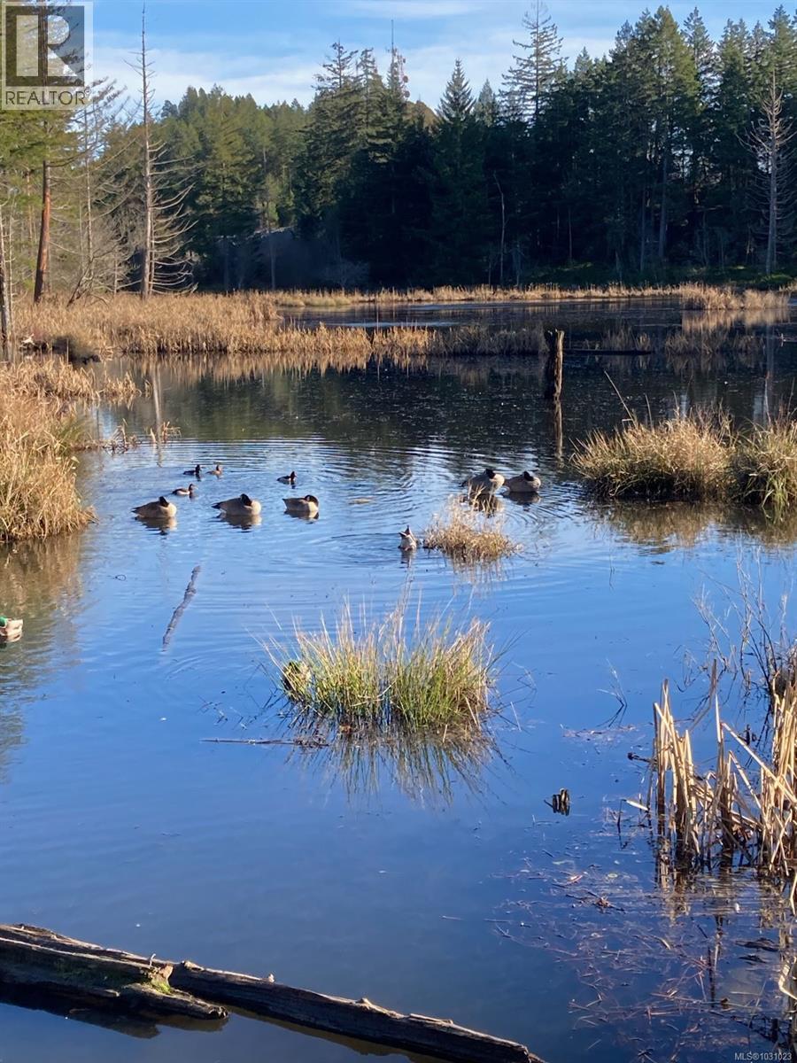 5648 LINLEY VALLEY DR - 14