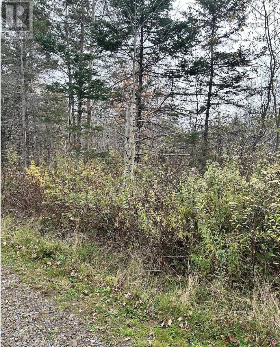 Property 2 of 4 of Lot 8 Guysborough Road