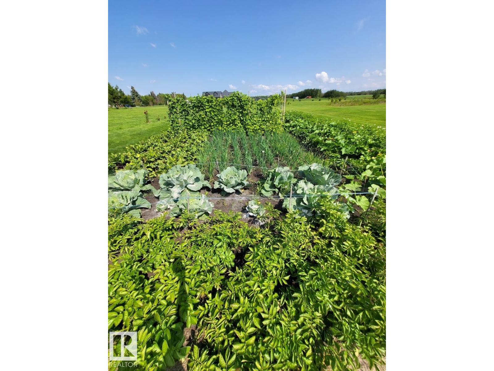 8001 FIRST ST, Fort Saskatchewan