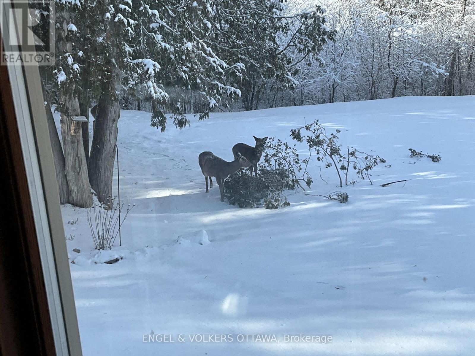 Neighbours