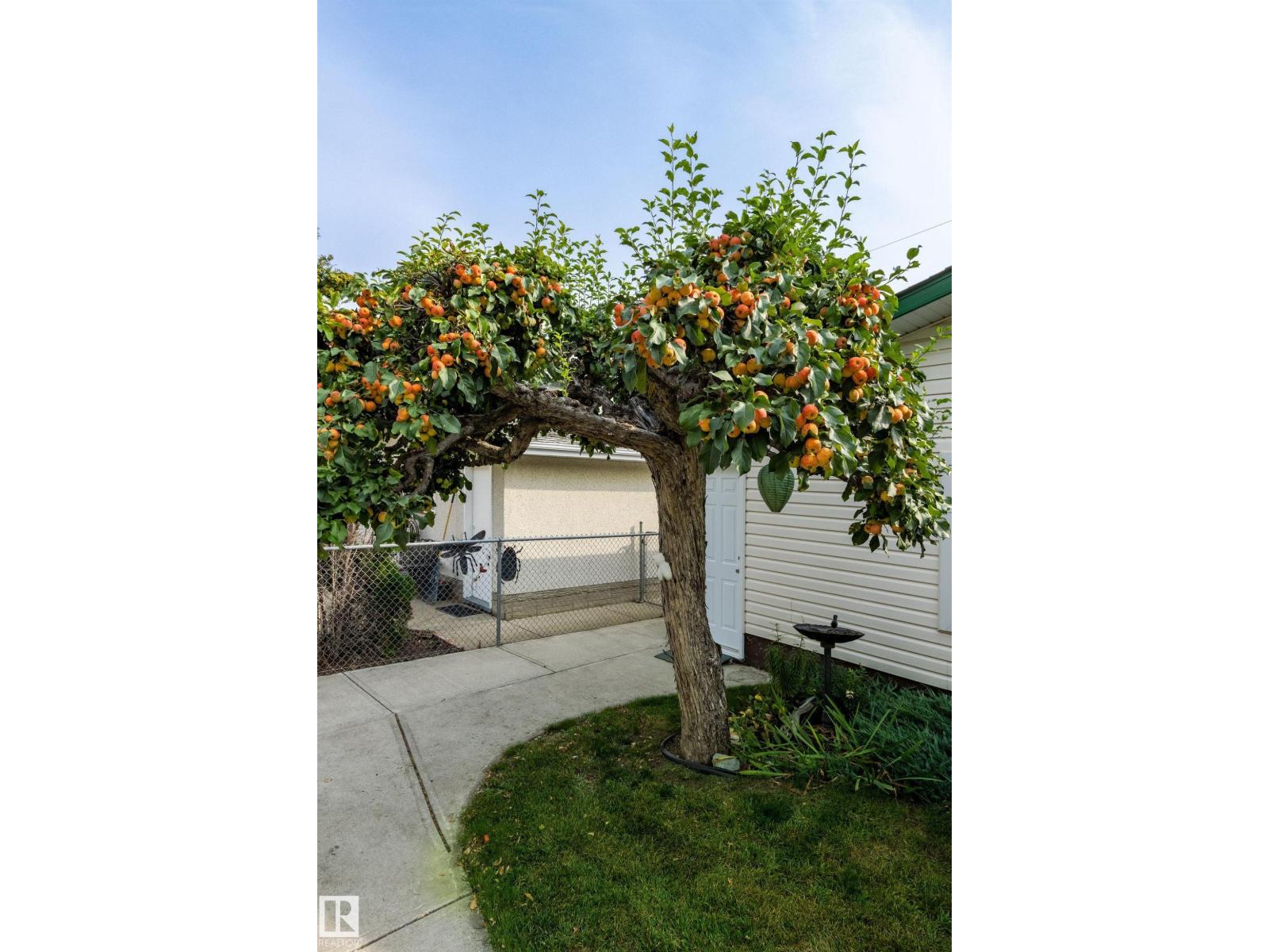 10629 79 ST NW, Edmonton