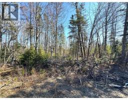 Lot 3 Route 3, Andersonville, NB E5A1E2 Photo 8