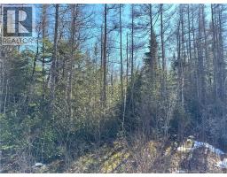 Lot 4 Route 3, Andersonville, NB E5A1E2 Photo 6