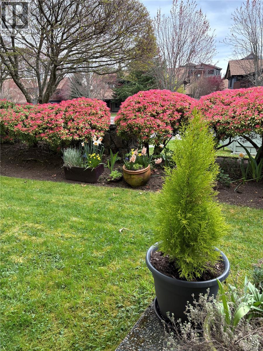 #107 4965 VISTA VIEW CRES - 25