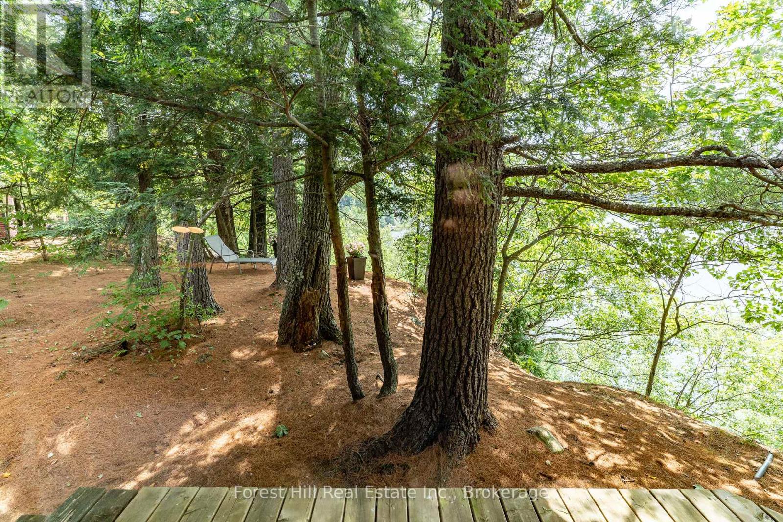 #29 2324 HWY 141 (BEAUMONT BAY RD) ROAD - 44