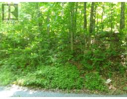 75 - 372 Murphy Road, Rideau Lakes, ON K0G1X0 Photo 15