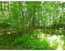 75 - 372 Murphy Road, Rideau Lakes, ON K0G1X0 Photo 16