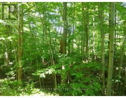 75 - 372 Murphy Road, Rideau Lakes, ON K0G1X0 Photo 17