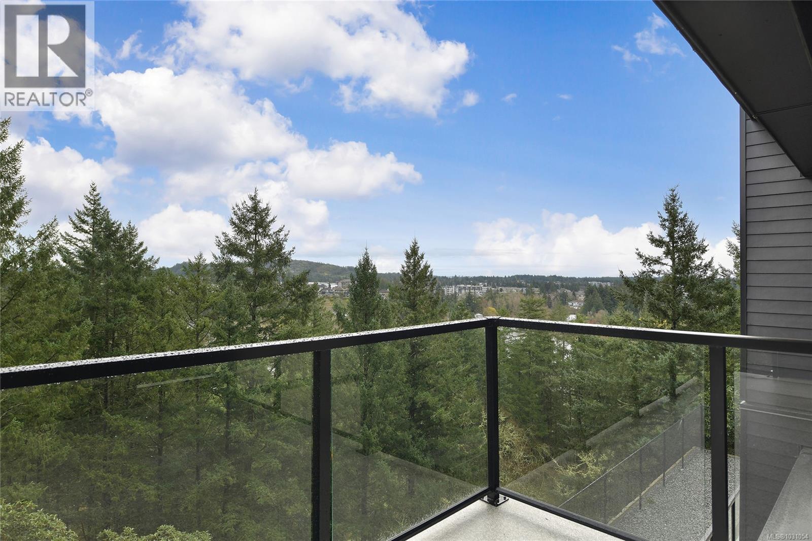 #314 2341 BEAR MOUNTAIN PKWY - 22