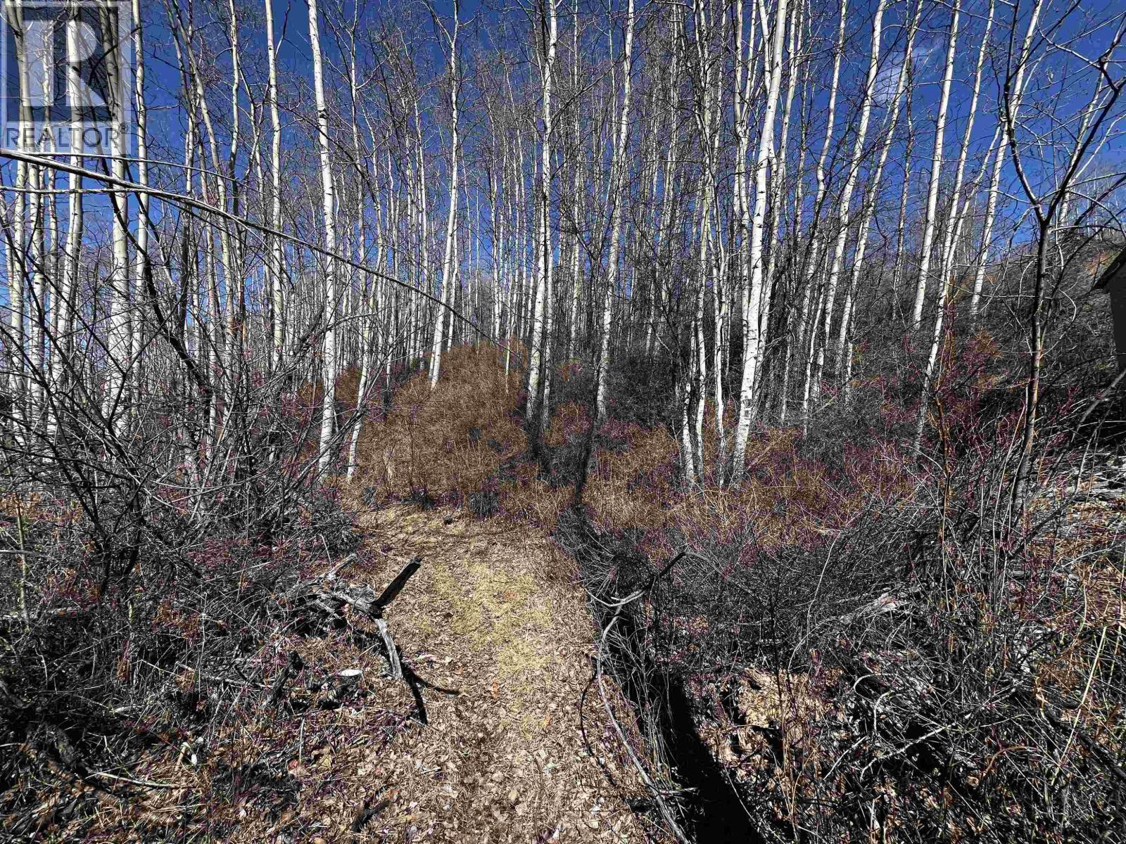 LOT 20 FRANCOIS LAKE ROAD, Fraser Lake
