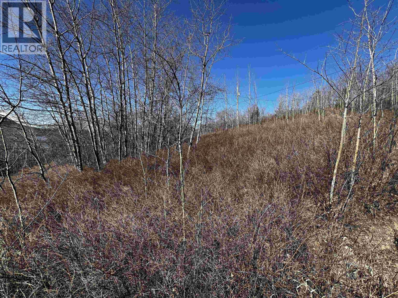 LOT 20 FRANCOIS LAKE ROAD, Fraser Lake