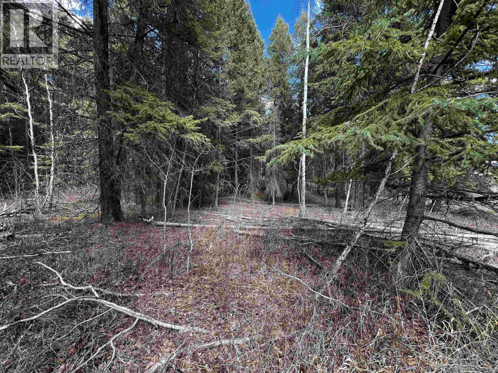 LOT 3 PARKER SUBDIVISION ROAD, Fraser Lake