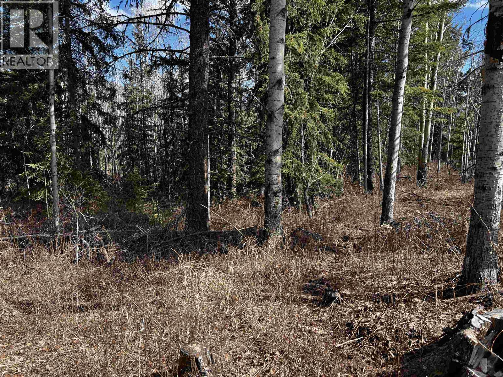 LOT 7 PARKER SUBDIVISION ROAD, Fraser Lake