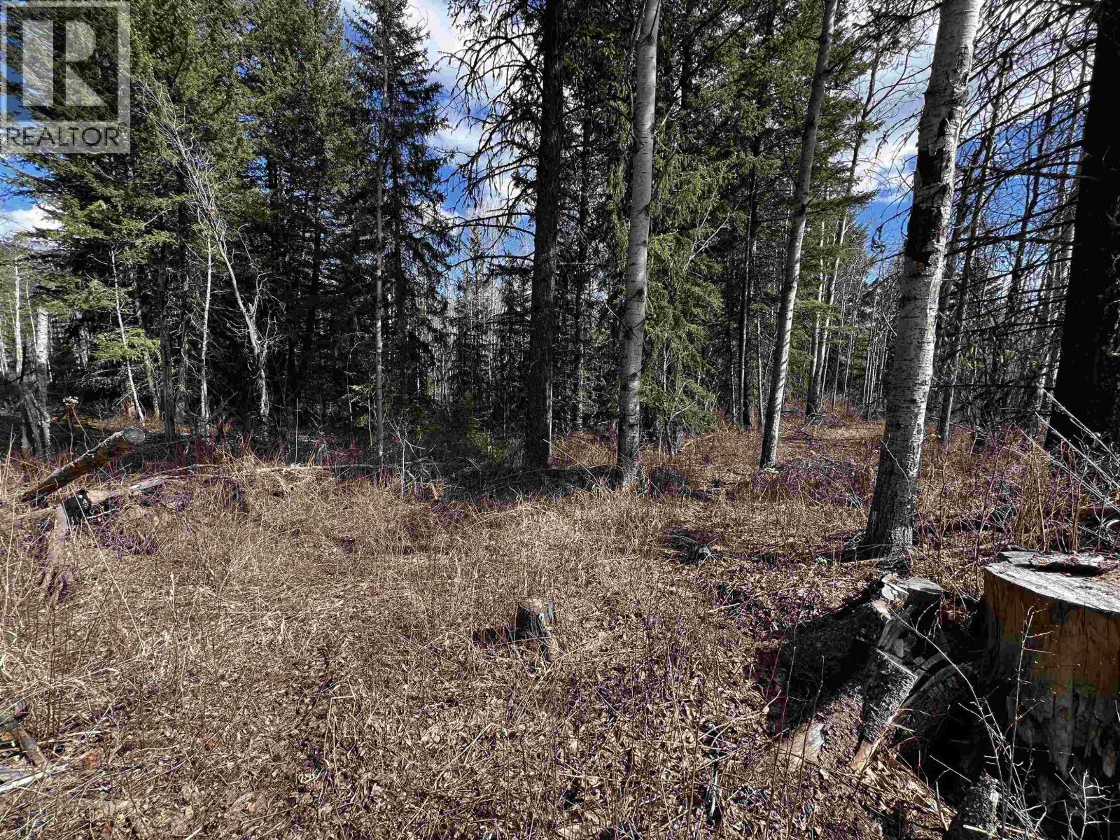 LOT 7 PARKER SUBDIVISION ROAD, Fraser Lake