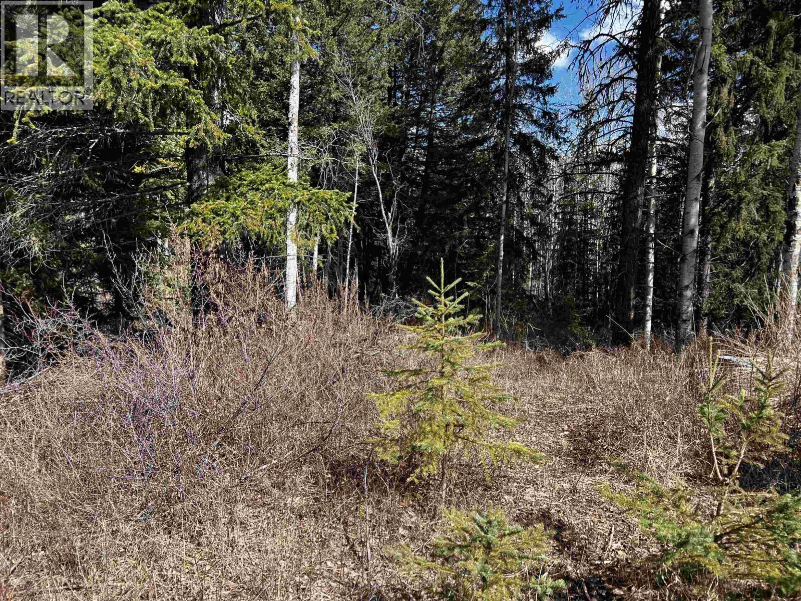 LOT 7 PARKER SUBDIVISION ROAD, Fraser Lake
