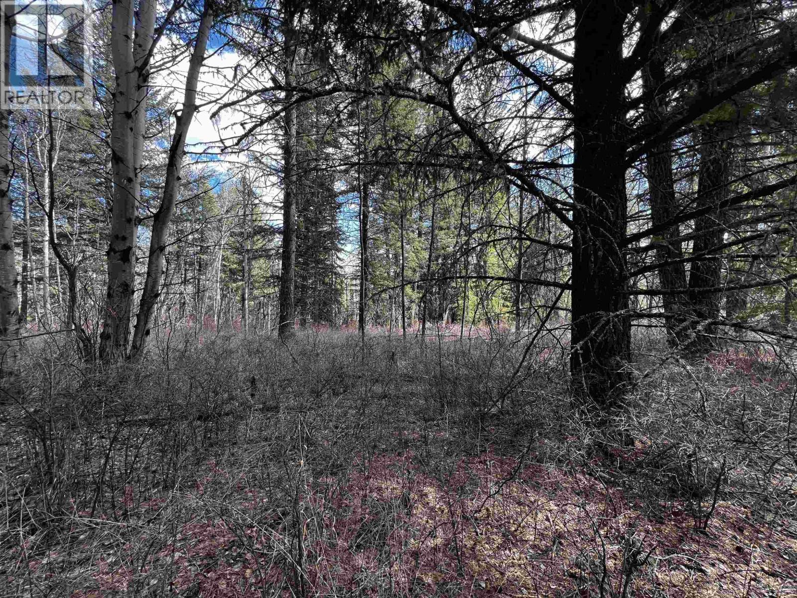 LOT 6 PARKER SUBDIVISION ROAD, Fraser Lake