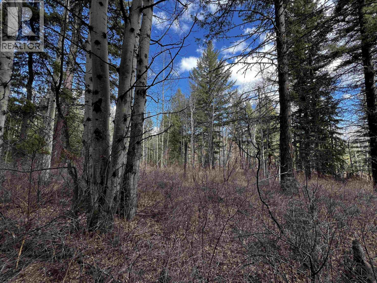 LOT 6 PARKER SUBDIVISION ROAD, Fraser Lake