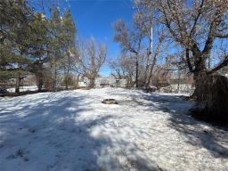 141 Louisa Avenue E, Miniota, MB R0M1M0 Photo 22
