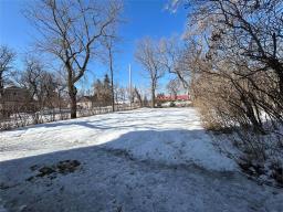 141 Louisa Avenue E, Miniota, MB R0M1M0 Photo 23