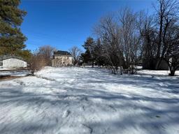 141 Louisa Avenue E, Miniota, MB R0M1M0 Photo 18