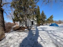 141 Louisa Avenue E, Miniota, MB R0M1M0 Photo 15