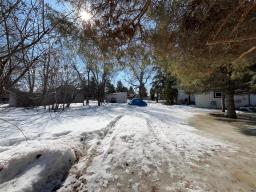 141 Louisa Avenue E, Miniota, MB R0M1M0 Photo 19