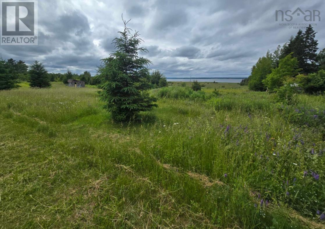 Property 4 of 6 of Lot 6 41 Brule Shore Road